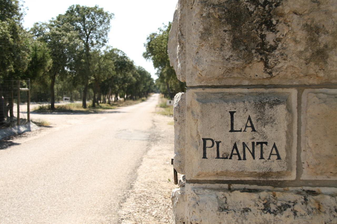 La Casita De La Planta Hotel Quintanilla de Onesimo Luaran gambar